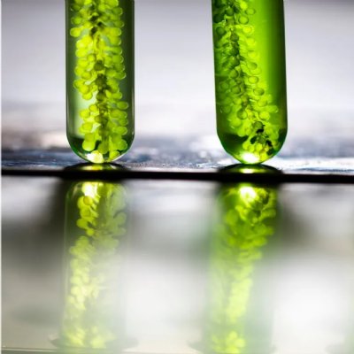 Governo aprova aumento do biodiesel no diesel para 12%
